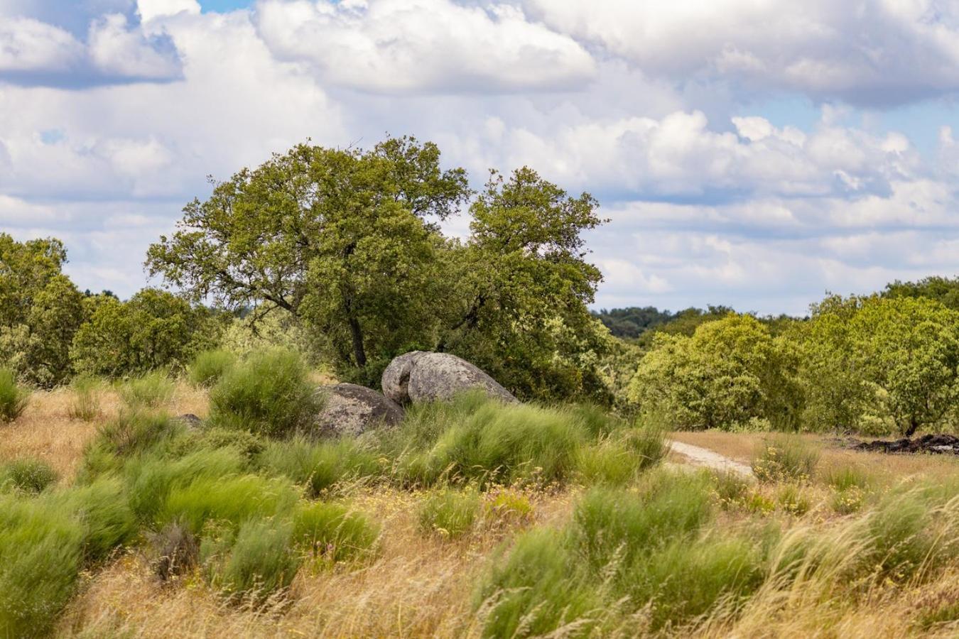 Herdade Do Gamito Crato Exteriér fotografie